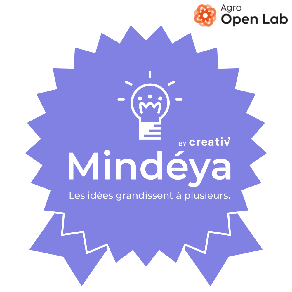 Mindéya - Initiation au management opérationnel de la créativité
